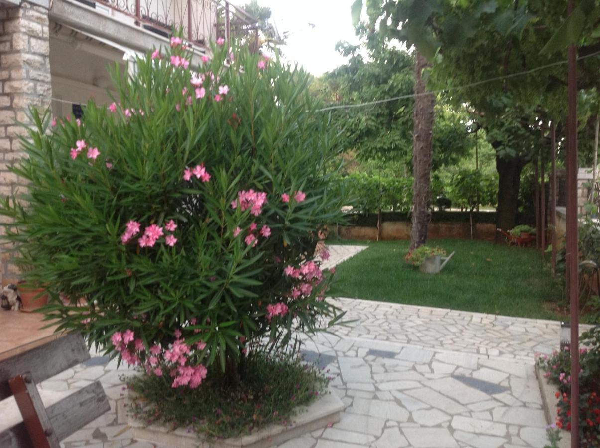 Vila Alma Porec Exterior photo